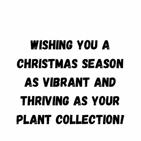 Wishing You A Christmas Season As Vibrant And Thriving As Your Plant Collection!